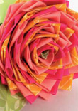 Flores de Tela